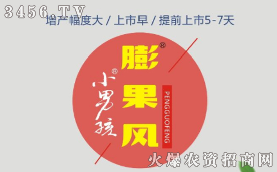 膨果风-果实膨果的利器,增产的法宝! 膨果风-果实膨果的利器,增产的法宝!