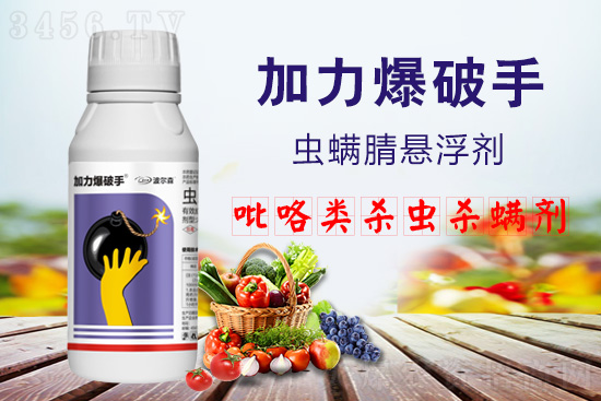 桢ҹꡢС˶֡